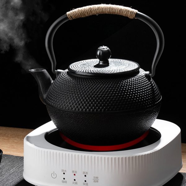 Traditional Japanese Cast Iron Kyusu Teapot